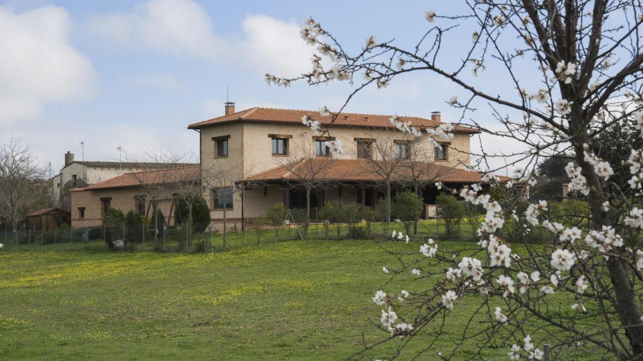 Casa Rural Pilon Del Fraile Oropesa Exterior photo
